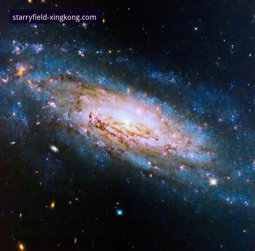 揭秘星空体育手机端背后的技术真相：官网下载地址到底安全吗？